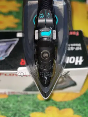 HomeFlower 2200W Steam Iron (HF-STM615)