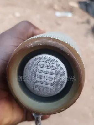 JBL Flip 5 Speaker na Asali