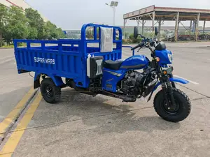 Sabo Cargo Tricycle 2025 Blue
