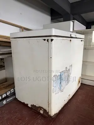 Thermocool Chest Freezer - Sayarwa Mai Gaggawa