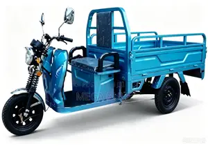 Sabon Wutar Lantarki Cargo Tricycle 2026 Kore