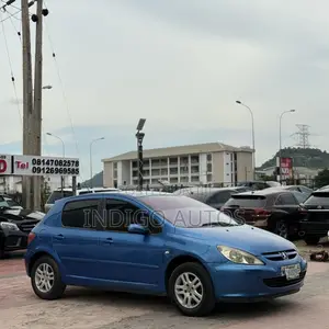 Peugeot 307 2004 Blue