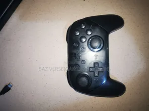 Nintendo Switch Pro Controller (Used)