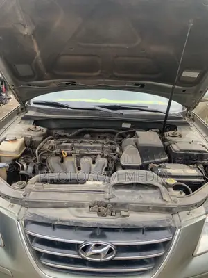 Hyundai Sonata 2010 Kore