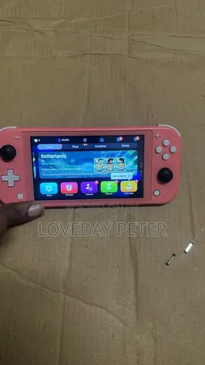 Hacked Nintendo Switch Lite - Dual Boot Android & Switch OS