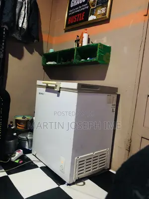 Skyrun Chest Freezer 145L Mai Amfani