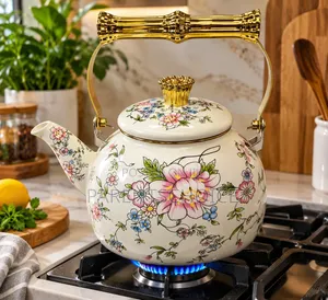 2.5L Enamel Flower Gas Stove Kettle