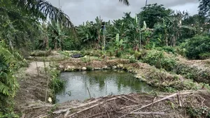 Filin Kifi Mai Aiki 6 da Shara 6 don Siyarwa, Poka, Epe, Lagos