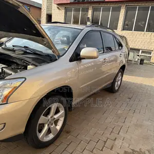 Lexus RX 330 2006 Gold
