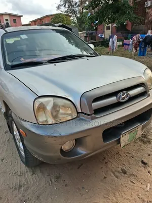 Hyundai Santa Fe 2004 Silver