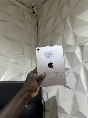 Apple iPad mini 6 256GB Silver (Foreign Used)