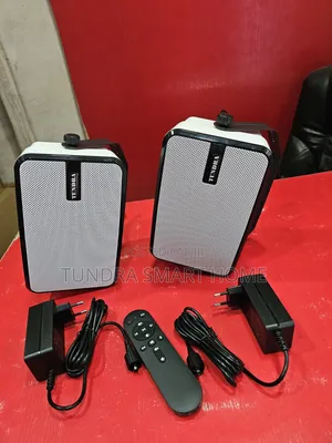 Tundra Single Active Bluetooth Wall Speakers