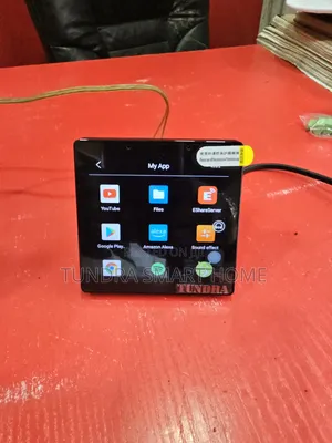 Tundra 4-Inch Smart Alexa WiFi Amplifier