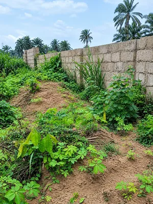 Filin Kasuwanci da Zama na Farko don Siyarwa, Titin Azummiri, Abia