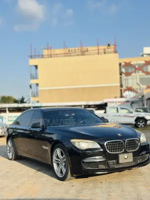 2010 BMW 7 Series 730Li Pearl