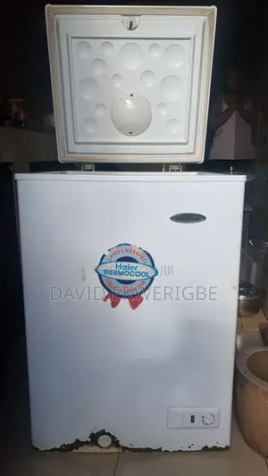 Haier Thermocool Chest Freezer