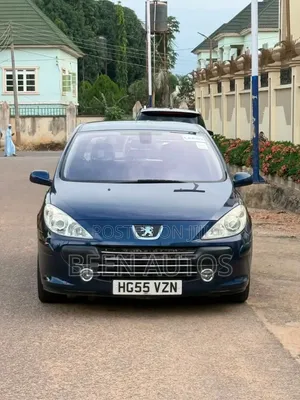 Peugeot 307 1.6 Grand Filou Cool 2008 Blue