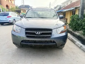 Hyundai Santa Fe 2007 Grey
