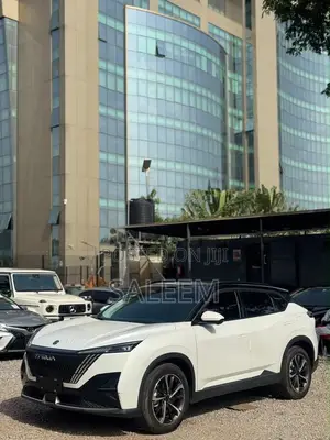 Sabon Dongfeng Rich 2025 Fari