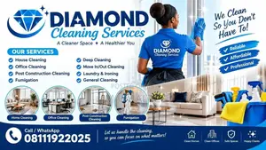 Diamond Cleaning Services - Ibeju