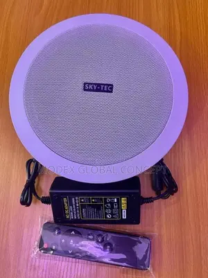 Sky-Tec ST-BTC42 50W Single Bluetooth Ceiling Speaker