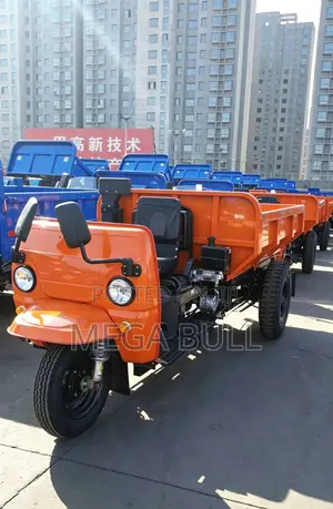 Sabo Tricycle 2026 Orange