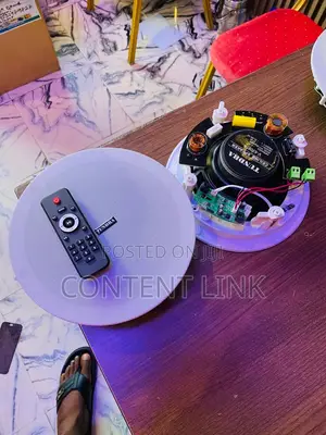 2-in-1 Bluetooth Ceiling Speakers tare da Remote