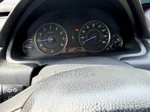 Honda Crosstour 2010 Burgundy