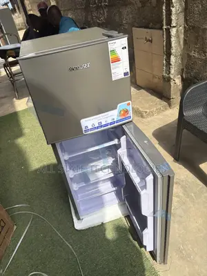 Snowsea BCD-166 Refrigerator