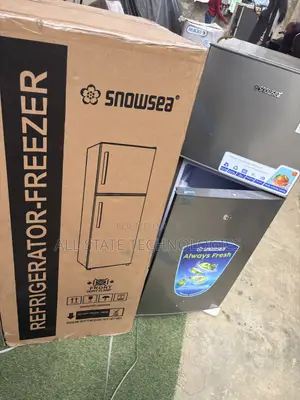 Snowsea BCD-166 Firij