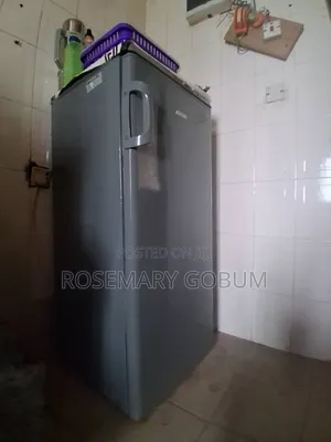 Electrolux Mini Freezer - Used