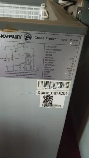 Skyrun 260L Chest Freezer Mai Kyau