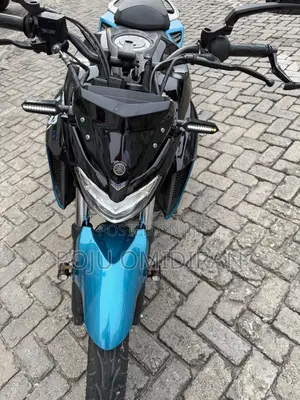 Yamaha FZ 2018 Baƙi
