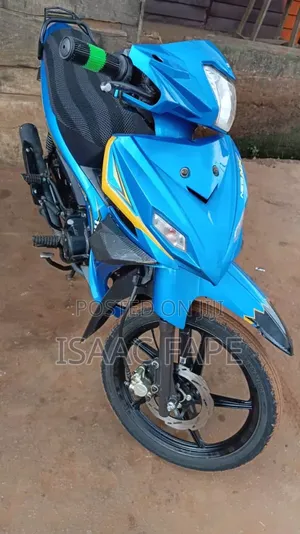 TVS Apache RTR 160 2V 2024 Grey