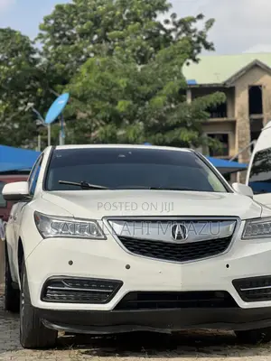 Acura MDX 2014 Fari