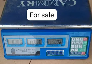 Camry Blue Kitchen Scale