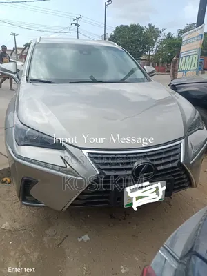 Lexus NX 300 FWD 2020 Gray SUV