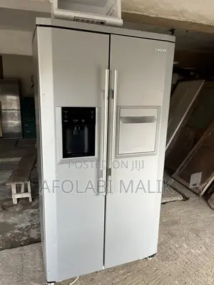 Samsung Side-by-Side Freezer