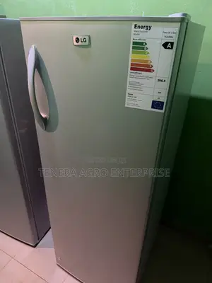 LG Tsaye Freezer - Watan Daya