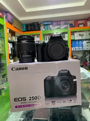 Canon EOS 250D 24.1MP 4K DSLR + 18-55mm IS STM Kit
