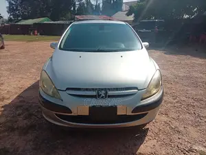 Peugeot 307 2004 Silver