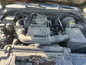 Nissan Pathfinder 2007 Baki