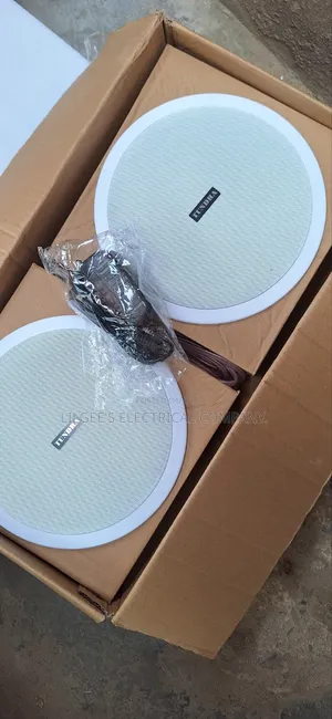 Tundra Bluetooth Ceiling Speakers 2-in-1 Mai Inganci