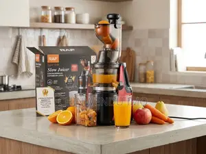 RAF 250W Jirgin Juicer Mai Jinkirin Zama