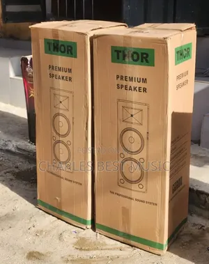 Thor Professional PA Speaker - Brand New