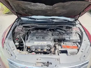 Honda Crosstour 2010 Ja