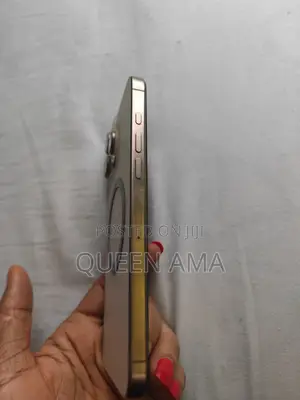 Apple iPhone 16 Pro Max 256GB Zinariya