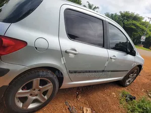 Peugeot 307 2005 Silver