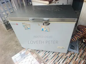 Scanfrost Freezer - Working Condition