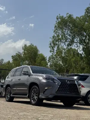 Lexus GX 460 Luxury 2020 - Wadda Aka Shigo Da Shi